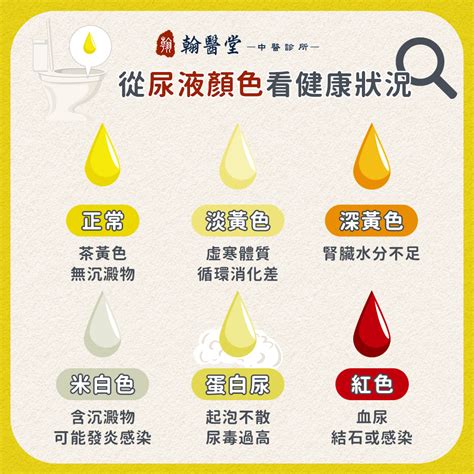 狗 尿 顏色|【狗尿顏色】想知狗狗有冇飲夠水？ 一睇小便顏色就知道！